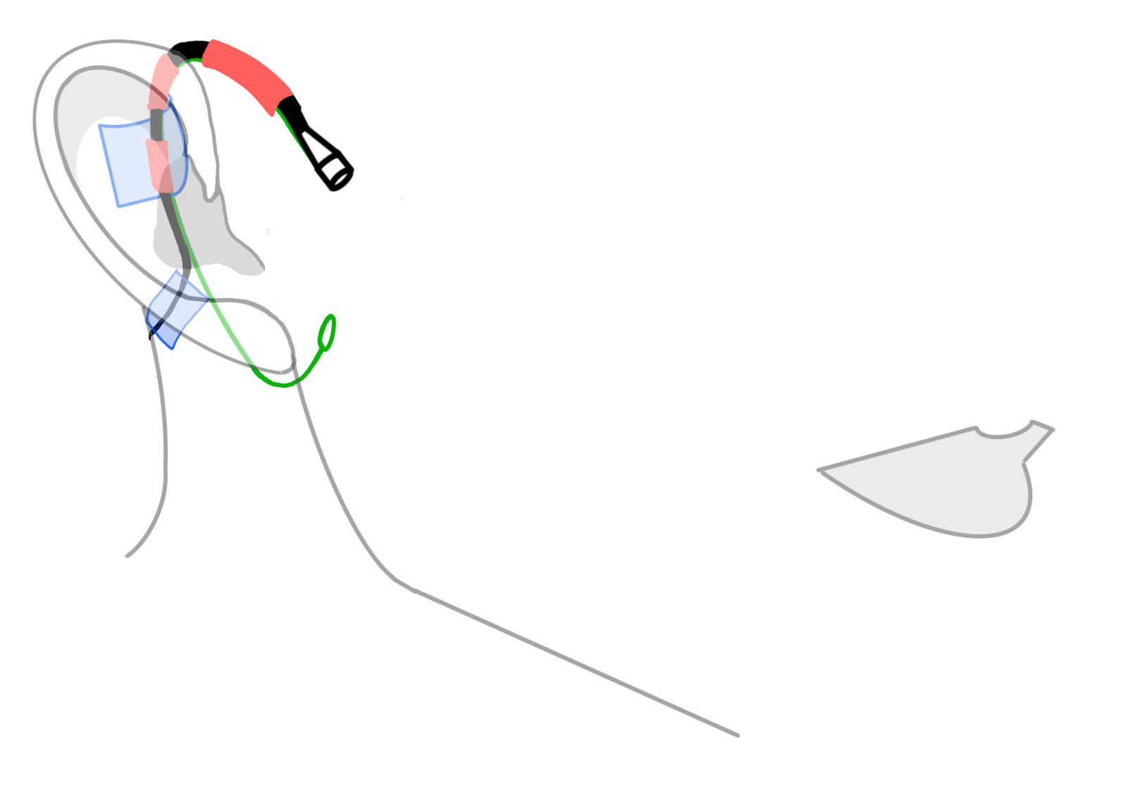 digital drawing of human jawline, lips, and ear wearing a color coded microphone ear rig